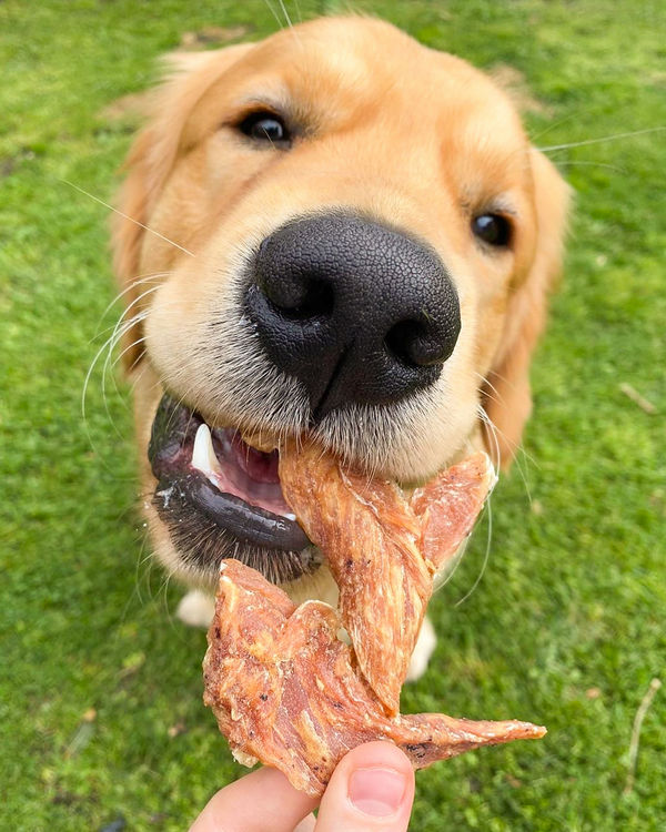 Premium Chicken Breast Jerky for Dogs & Cats – All-Natural, High-Protein, Low-Fat Dog Treats
