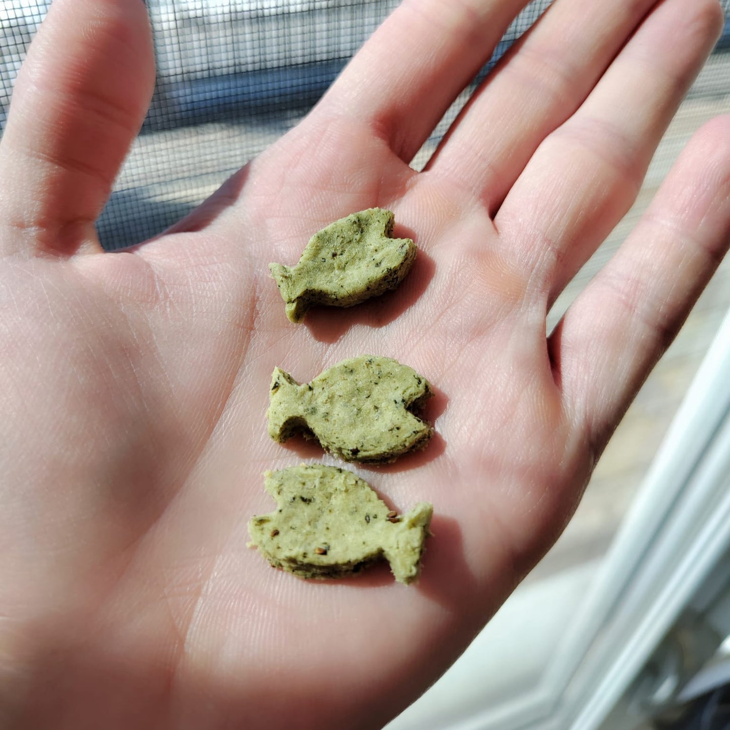 Catnip Biscuit - For Cat