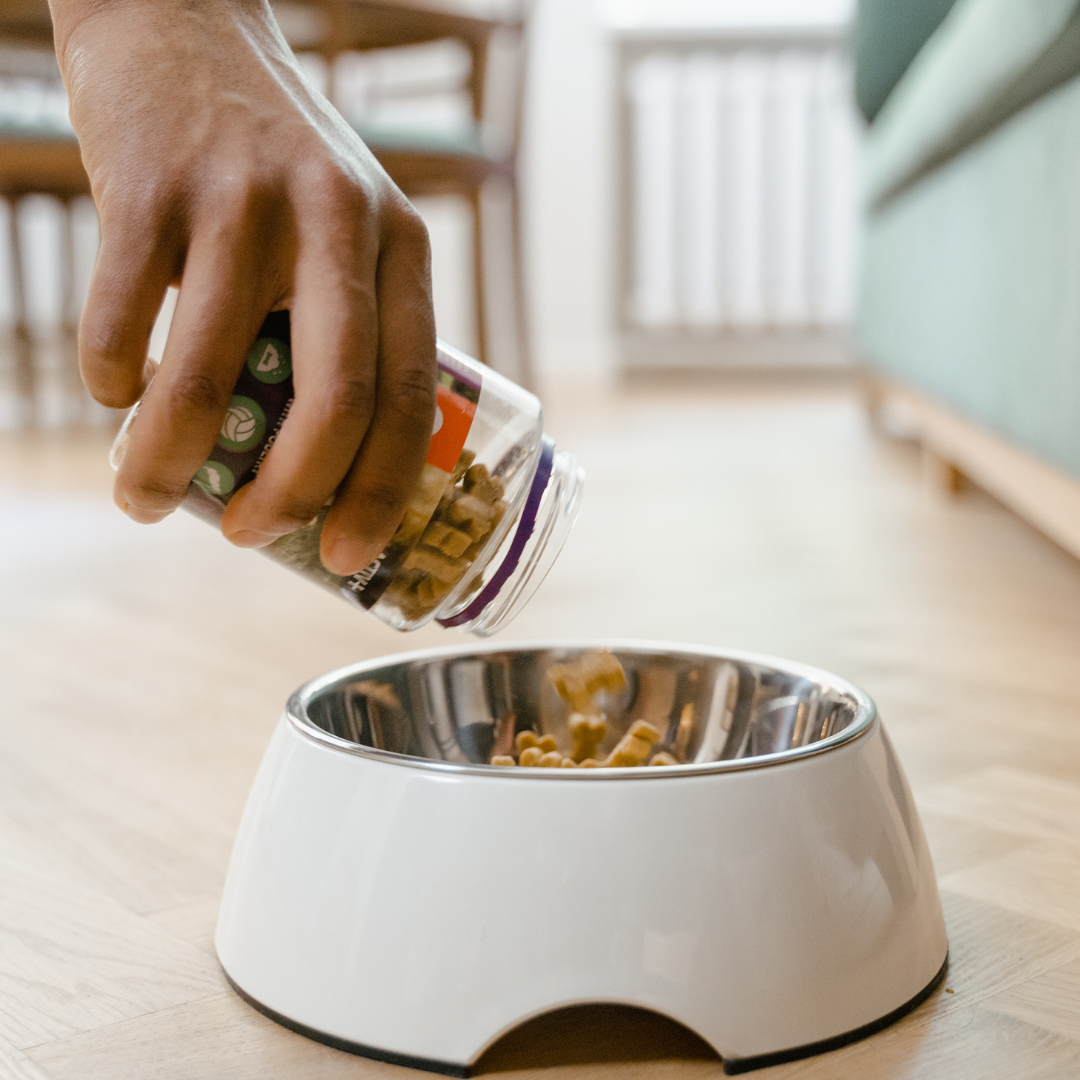 Food Nutrition Therapy