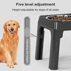 Adjustable Cat Dog Bowl Feeder – Dual Stainless Steel Bowls for Food & Water