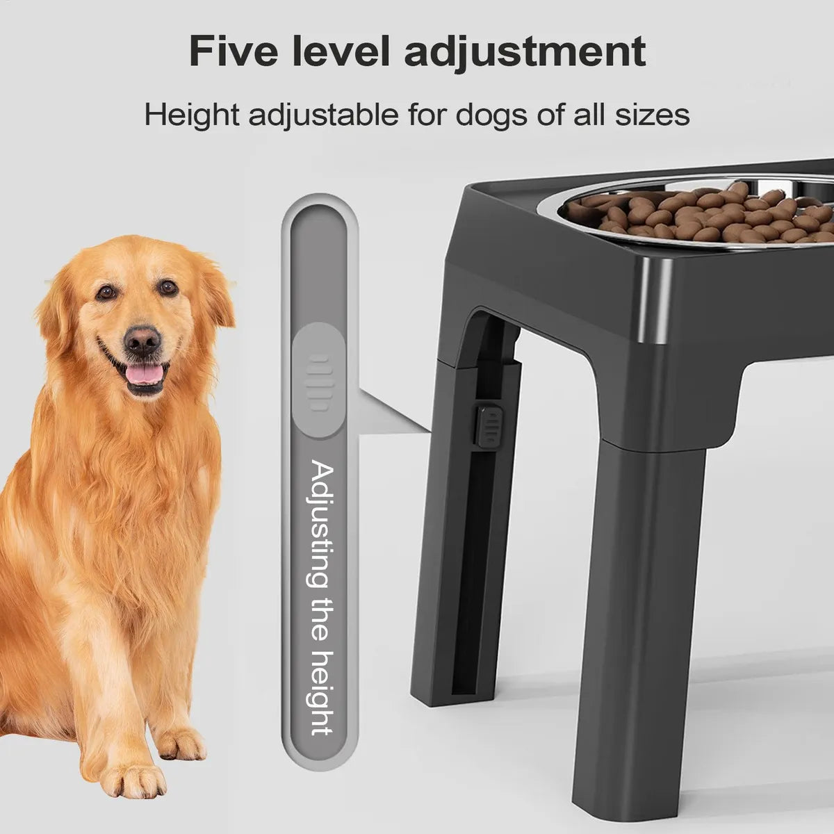 Adjustable Cat Dog Bowl Feeder – Dual Stainless Steel Bowls for Food & Water