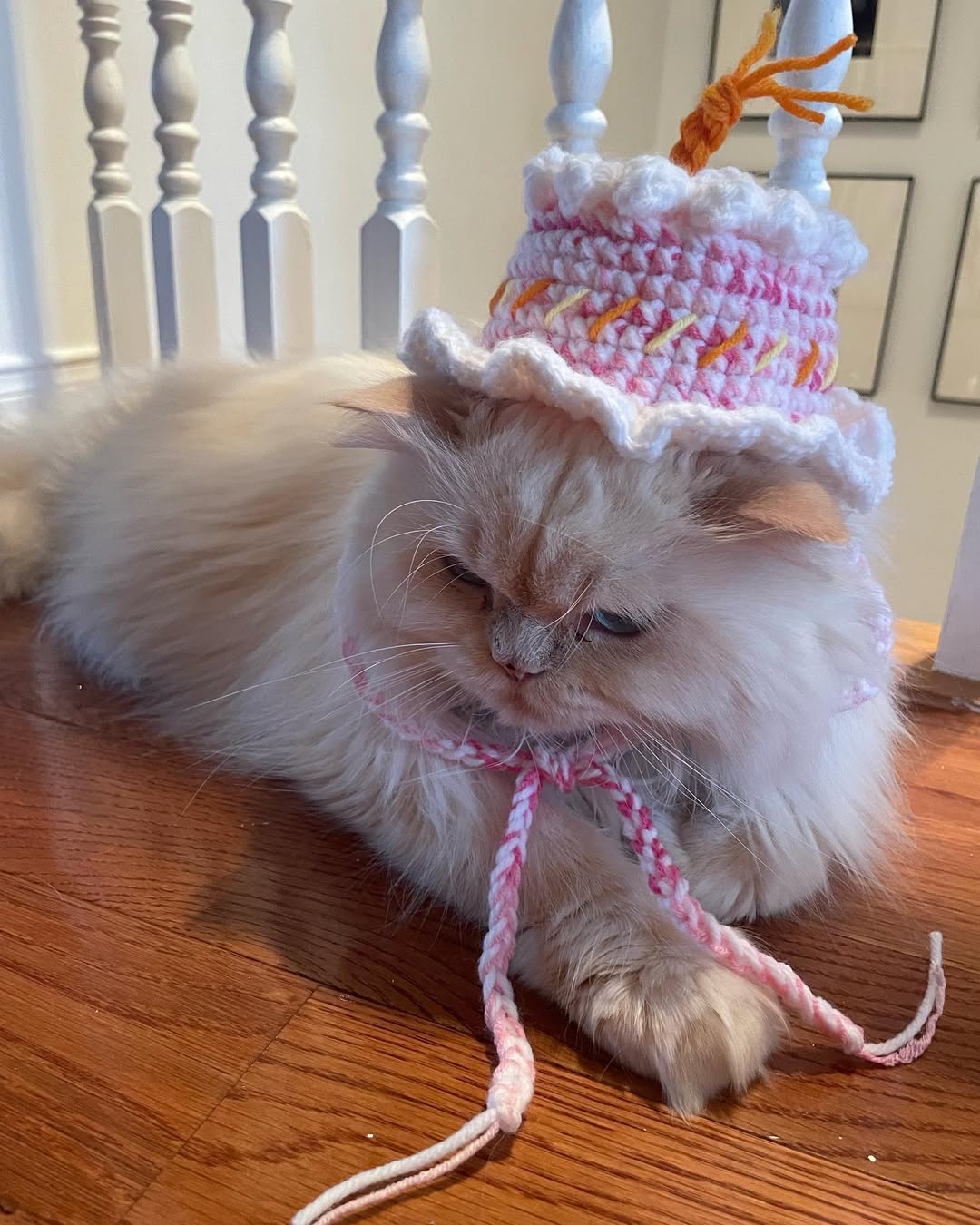 Handmade Crochet Pet Accessories – Unique, Comfortable & Stylish for Cats & Dogs
