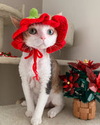 Handmade Crochet Pet Accessories – Unique, Comfortable & Stylish for Cats & Dogs