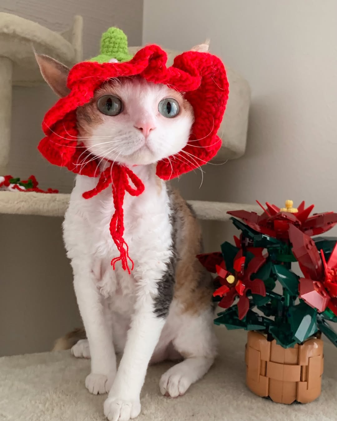 Handmade Crochet Pet Accessories – Unique, Comfortable & Stylish for Cats & Dogs