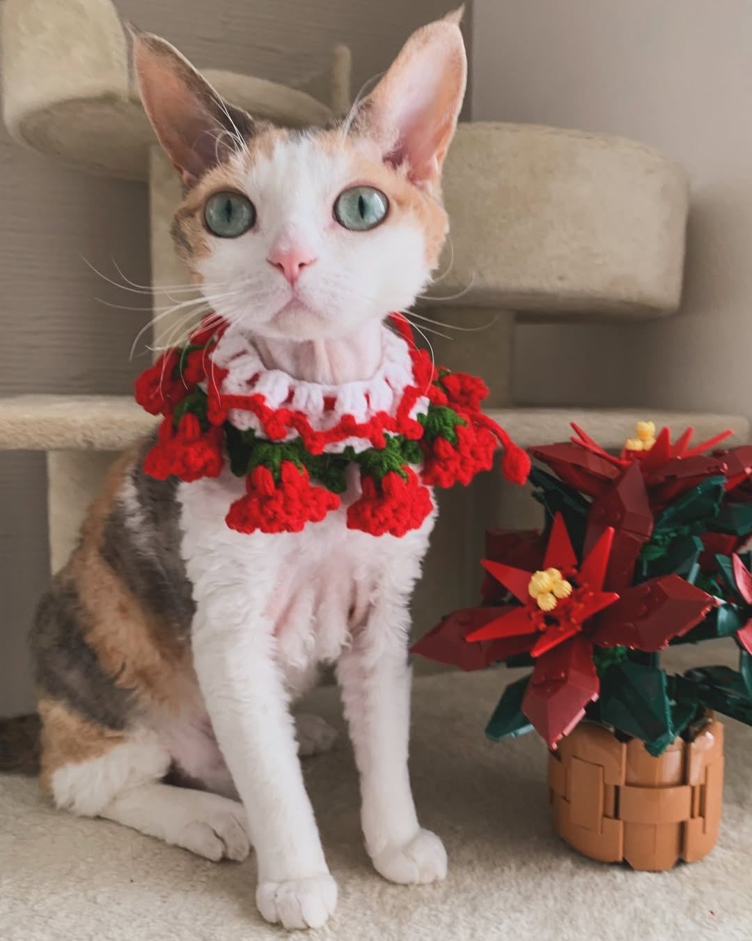 Handmade Crochet Pet Accessories – Unique, Comfortable & Stylish for Cats & Dogs