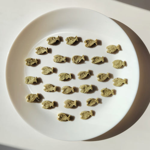 Catnip Biscuit (Fish Shape) - For Cat