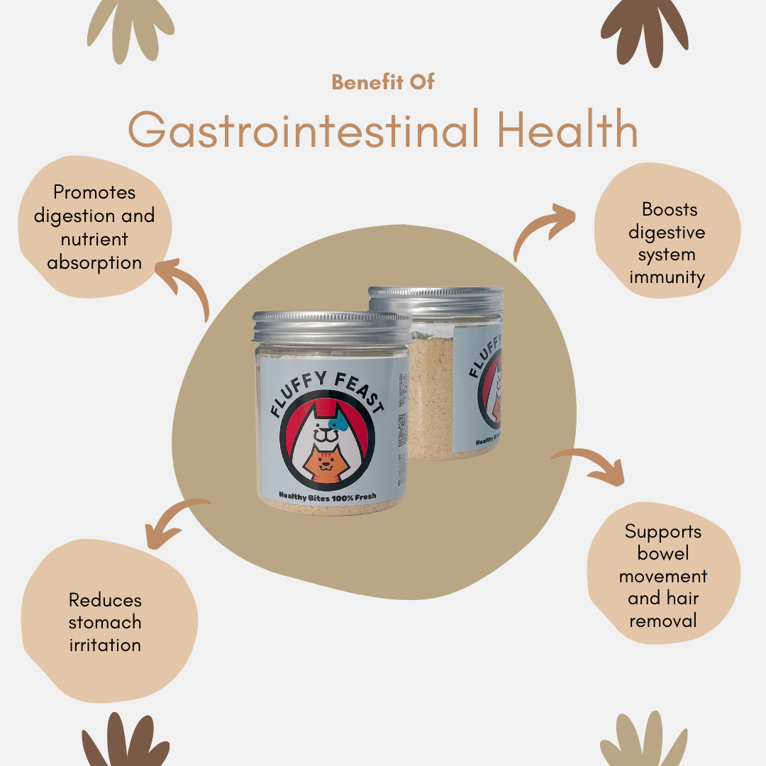 Fluffy Feast Gastrointestinal Health Formula for Dogs and Cats – Digestive Support with Pumpkin & Chicken
