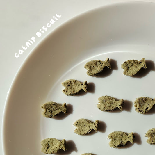 Catnip Biscuit - For Cat