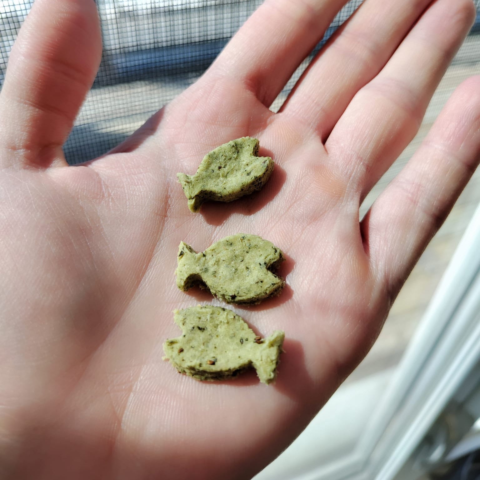Catnip Biscuit (Fish Shape) - For Cat